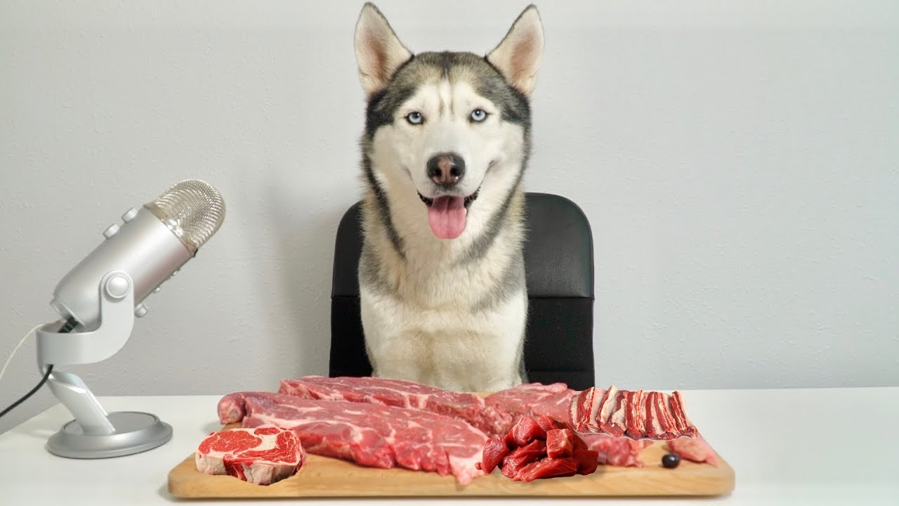 Can dogs 2024 eat beef