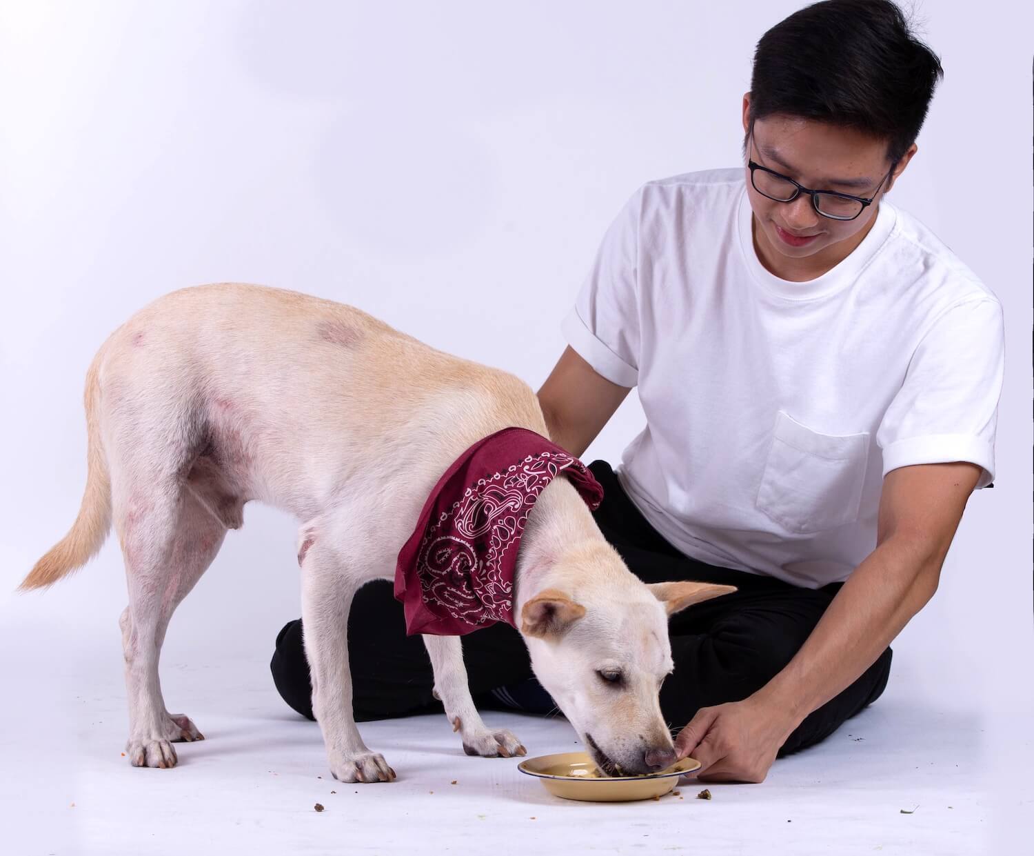 a man feeds their dog healthy dog food made by Petchef