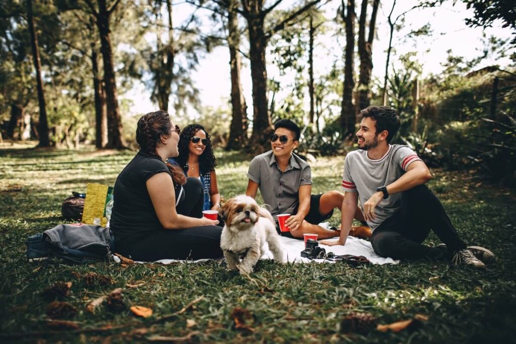 a group of pet owners sitting on the grass in a park with a dog