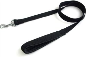 image of a standard dog leash with a loop handle at the end and a metal clip at the other