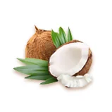 image of coconuts depicting coconut oil as an ingredient used to cook healthy dog food and healthy cat food by Petchef