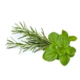 fresh rosemary and oregano herbs used to cook healthy dog food by Petchef