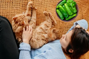 Can cats eat cucumber?