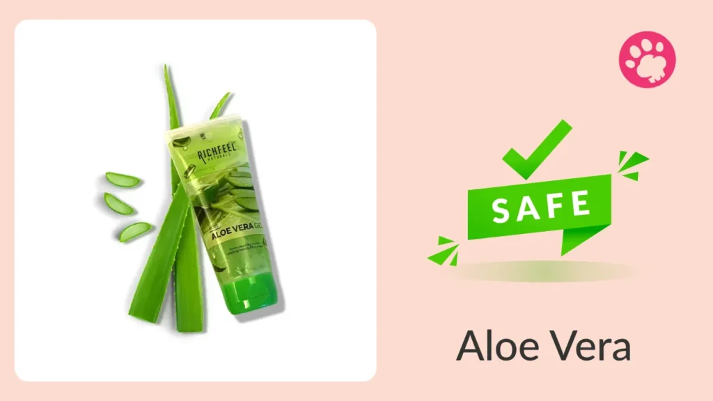 Is Aloe Vera safe for dogs?