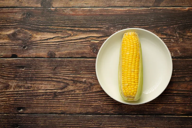 Can dogs eat corn?