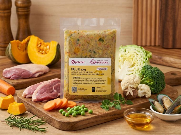 Petchef Duck healthy dog food pack with fresh ingredients